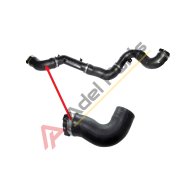 Radiator Water Hose