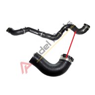 Radiator Water Hose